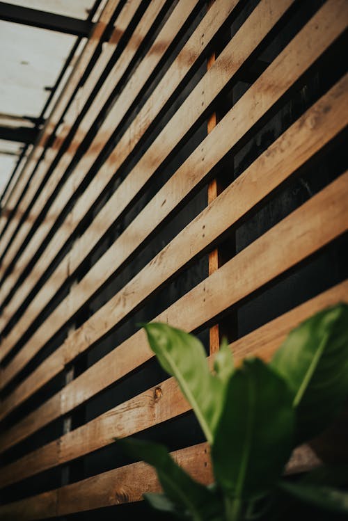 Wall Cladding