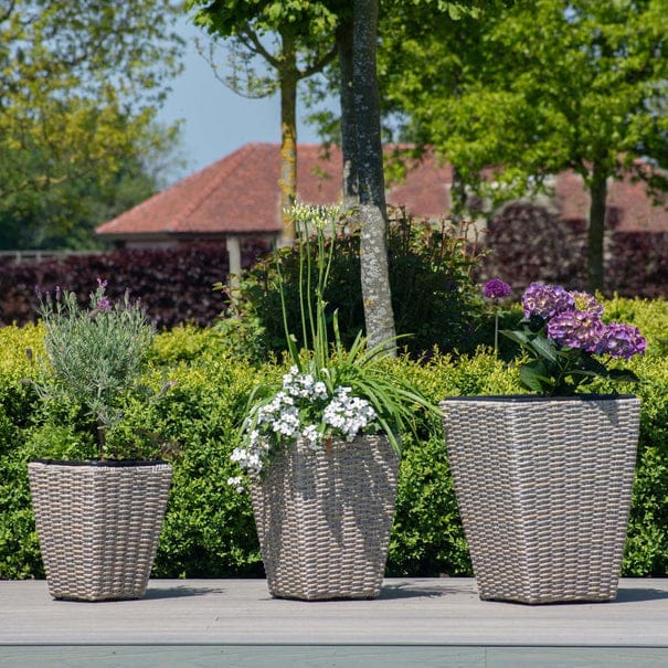 DecorMama Placido Pot Plant Set