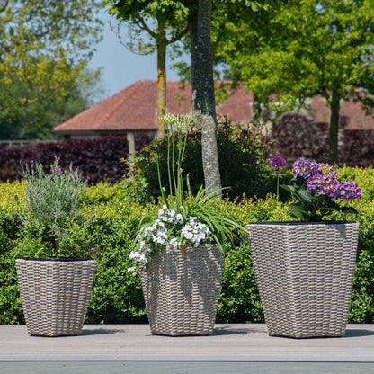 DecorMama Placido Pot Plant Set