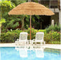 Hawaiian Umbrella