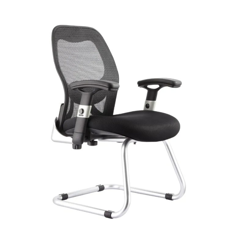 DecorMama Selvina Low Back Office Chair